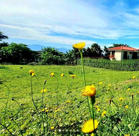 Precioso Lote en Condominio el Roble en Grecia in Grecia, Alajuela — ₡ 50 000 000