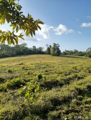 Farm For Sale El Amparo, Los Chiles, Alajuela