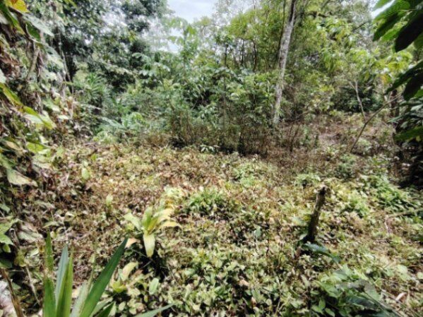 LOTE EN VENTA EN COSTA RICA NATURALEZA Y PRIVACIDAD in San Isidro De El General, Pérez Zeledón, San José — $25,000