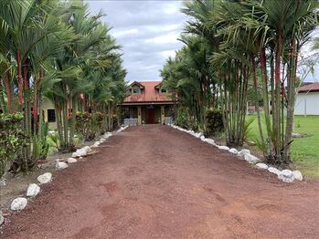 Finca en Venta Río Cuarto, Río Cuarto, Alajuela