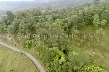 Venta de Lote de 45,360m2 en guapiles 26-1792 en Guápiles, Pococí, Limón — $85,000 - Foto 4 de 10