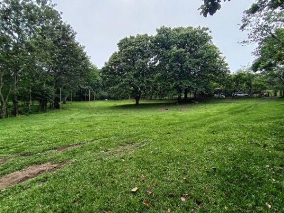 Se vende amplio lote de 7000m2 en Guácima Alajuela 25-1939 in Guácima, Alajuela — $318,500