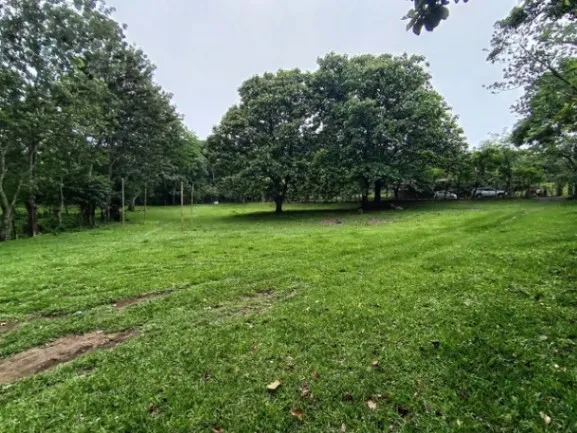 Se vende amplio lote de 7000m2 en Guácima Alajuela 25-1939 en Guácima, Alajuela — $318,500