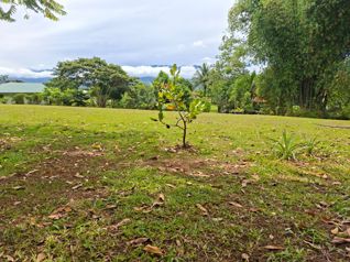 Casa y Lote - Villa Ligia, Pérez Zeledón en San Isidro De El General, Pérez Zeledón, San José — 125 000 000 ₡ - Foto 5 de 13