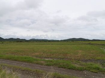 Farm For Sale Bagaces, Bagaces, Guanacaste