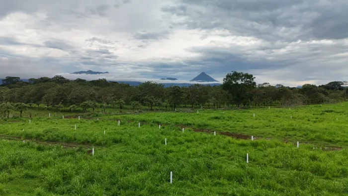 Lotes Financiados con Vista al Volcán a 18min de Fortuna☎️ 8751-4191 in La Fortuna, San Carlos, Alajuela — ₡ 23 000 000