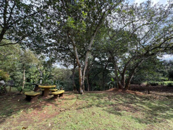 Lote en Venta en Orotina  en Orotina, Alajuela — ₡ 95 020 000 - Foto 3 de 12