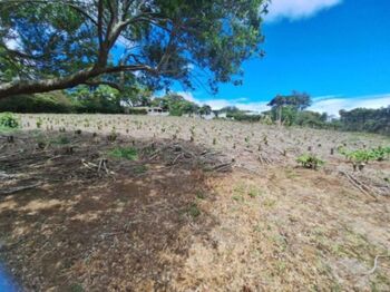Venta de Lote en Barva-San Pablo-Heredia. RAH 26-1343 en San Pablo, Barva, Heredia — 150 000 000 ₡ - Foto 5 de 10