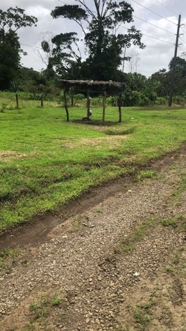 VENTA DE LOTE CON USO DE SUELO MIXTO,  HEREDIA, SARAPIQUÍ, HORQUETAS en Las Horquetas, Sarapiquí, Heredia — ₡ 32 000 000