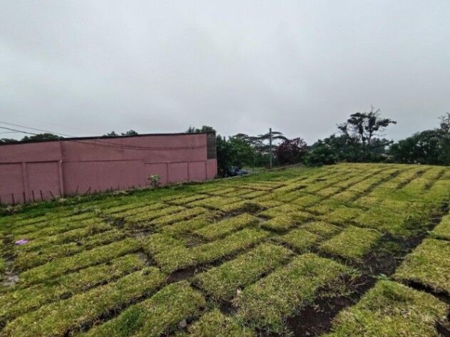 LOTE EN VENTA, SAN PABLO DE HEREDIA, COD#25-868 in San Pablo, Heredia — ₡ 79 500 000