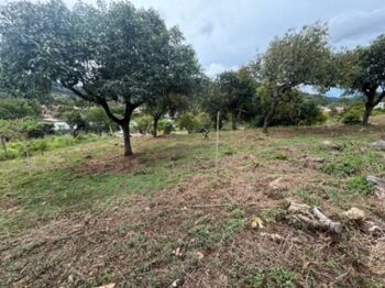Venta de Lote en Dota-Santa María. RAH 26-1272 en Santa María, Dota, San José — 77 000 000 ₡ - Foto 4 de 6