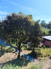 LAND FOR SALE IN COLONIA SAN RAMÓN, SANTA TERESITA, TURRIALBA. CARTAGO.COSTA RICA. in Santa Teresita, Turrialba, Cartago — $72,000 - Photo 2 of 16