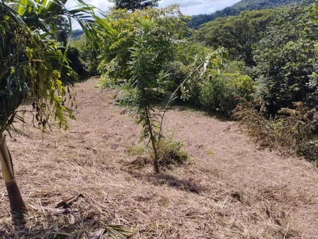 Venta de Quinta en Esparza-Espíritu Santo, Puntarenas. RAH 26-374 en Espíritu Santo, Esparza, Puntarenas — ₡ 52 000 000 - Foto 2 de 13