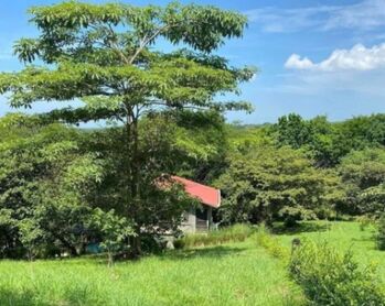 LOTE EN VENTA, SAN MATEO ALAJUELA, COD#26-1282 en San Mateo, Alajuela — 57 000 000 ₡ - Foto 5 de 9