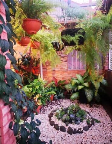 OPORTUNIDAD SE VENDE CASA - PRECIO NEGOCIABLE en Alajuela — ₡ 65 000 000