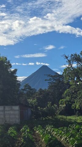 GANGA Lote con Vista al Volcán a 10min de La Fortuna en La Fortuna, San Carlos, Alajuela — ₡ 37 000 000