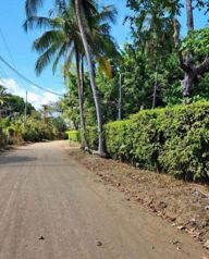 PLAYA AZUL, TÁRCOLES 7.658 m² en Tárcoles, Garabito, Puntarenas — $440,000 - Foto 3 de 13