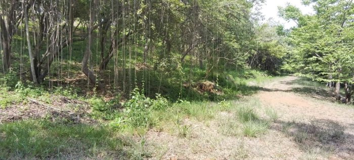 Terreno para desarrollo Corozalito Guanacaste AJ en Bejuco, Nandayure, Guanacaste — $306,880 - Foto 3 de 23