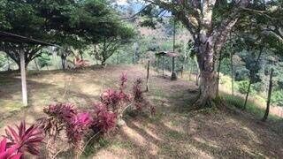 MLS-26-1245 LS VENTA LOTE LA SUIZA TURRIALBA CONTACTENOS AL # 86127562 en La Suiza, Turrialba, Cartago — ₡ 59 000 000