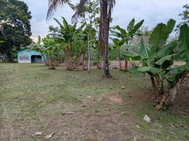 LOTE EN VENTA CON ACCESO A RIO SIERPE POR AUTOMOVIL O BOTE en Sierpe, Osa, Puntarenas — $80,000