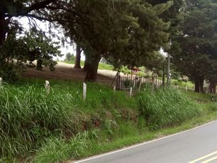 Venta de finca uso de suelo mixto en Naranjo
