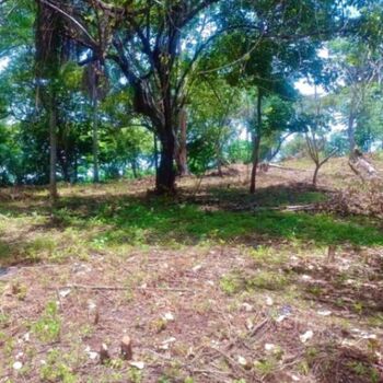 Preventa de lotes en Playa Bajamar a solo 13 minutos del peñon de Guacalillo en Tárcoles, Garabito, Puntarenas — 25 000 000 ₡ - Foto 4 de 8