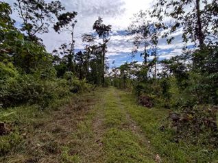 Vendo Finca Ganadera, Heredia, Sarapiquí. 5PVV9294333 en Las Horquetas, Sarapiquí, Heredia — $1,500,000 - Foto 2 de 21
