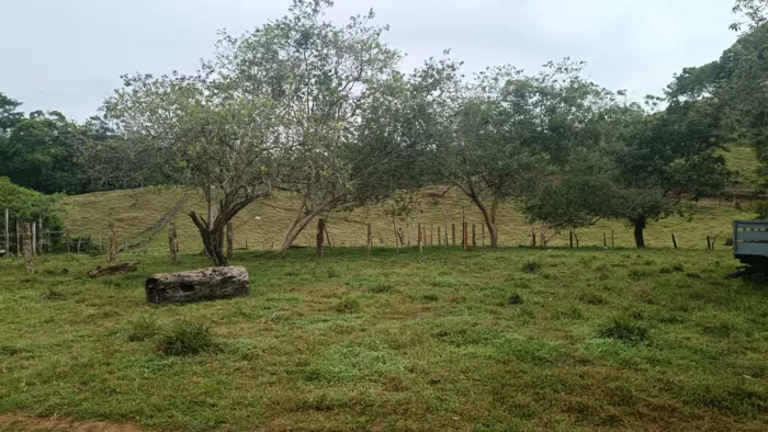 SE VENDE ÚTIL FINCA EN CUTRIS DE SAN CARLOS. en Cutris, San Carlos, Alajuela — ₡ 205 000 000 - Foto 2 de 5