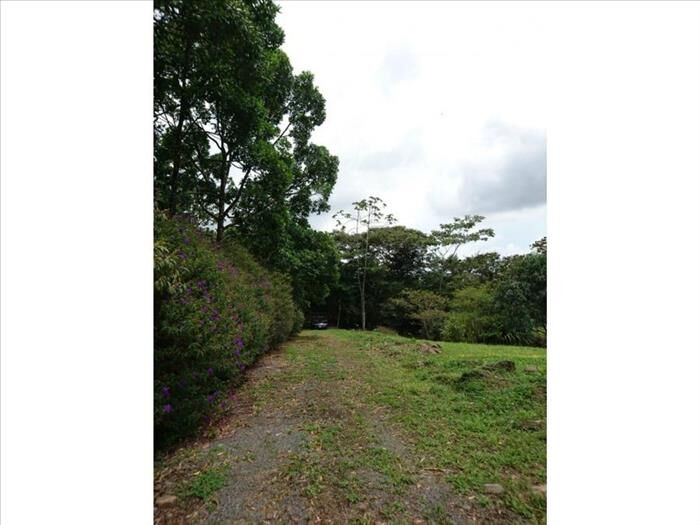 VENTA DE QUINTA, LIMON, GUAPILES, BUENOS AIRES en Guápiles, Pococí, Limón — ₡ 160 000 000