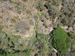 Finca en venta en Atenas, con vistas, manantial de agua, cascada en San José, Atenas, Alajuela — $525,000 - Foto 5 de 40