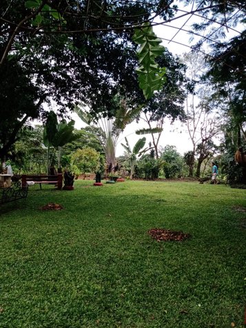 Venta de hermoso terreno con casa en Siquirres, Limón — ₡ 80 000 000 - Foto 3 de 26