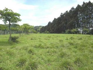 Terreno en Venta en Ochomogo Cartago, Industrial. 5PDC9271217