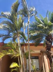 VENTA / Preciosa Casa en Lindora, Santa Ana, San José en Pozos, Santa Ana, San José — $690,000 - Foto 2 de 36