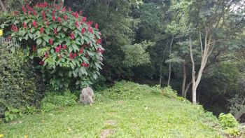 Lote en venta en Santa Ana, Rio Oro,Condominio.5PVV9330110 en Uruca, Santa Ana, San José — $303,150 - Foto 5 de 21