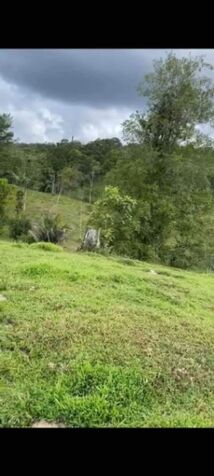 VENTA DE FINCA EN SIQUIRRES, LIMÓN –COSTA RICA - ZONA LAS BRISAS DE PACUARITO. en Cahuita, Talamanca, Limón — $775,000