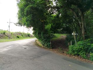 Venta de Lote en San Mateo-Alajuela. RAH 27-869