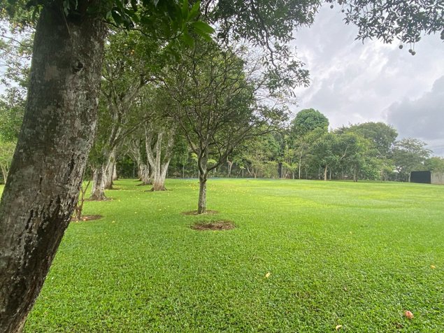 VENTA DE LOTE ALAJUELA, TAMBOR, EL CACAO en Tambor, Alajuela — $975,000 - Foto 3 de 5