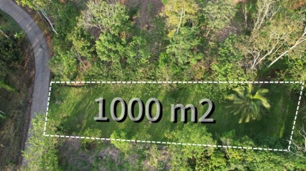 ¡Oportunidad única! Se vende lote de 1,000 m² en Florencia en Florencia, San Carlos, Alajuela — ₡ 18 000 000
