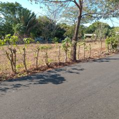 Investment Opportunity in Labrador de San Mateo in San Mateo, Alajuela — $450,000 - Photo 3 of 3