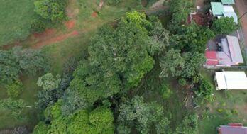 Venta de terreno  en Pocosol, San Carlos, Alajuela — 100 000 000 ₡ - Foto 4 de 5