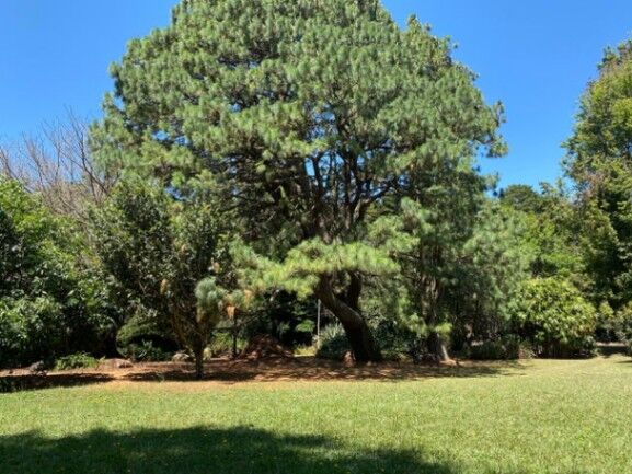 Se vende amplia finca de 3.6 hectáreas en Ángeles Heredia 24-1448 in Ángeles, San Rafael, Heredia — $1,275,120