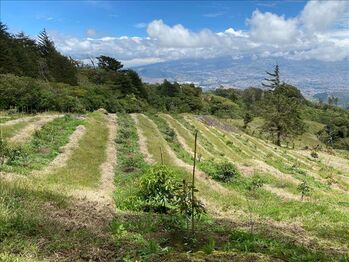 Finca en el Guarco de Cartago en El Tejar, El Guarco, Cartago — $1,800,000 - Foto 5 de 15