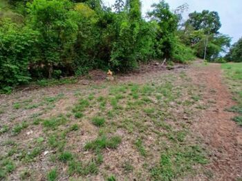 Venta de Lote en Santa Cruz-27 de Abril. RAH 26-2209 in Veintisiete De Abril, Santa Cruz, Guanacaste — $230,000 - Photo 4 of 10