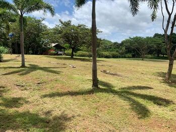 Hermoso lote cerca de playas in Veintisiete De Abril, Santa Cruz, Guanacaste — 65 000 000 ₡ - Photo 5 of 5