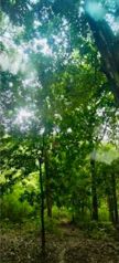 VENTA DE LOTE DE PLAYA, GUANACASTE, SANTA CRUZ en Cuajiniquil, Santa Cruz, Guanacaste — 175 000 000 ₡ - Foto 4 de 9