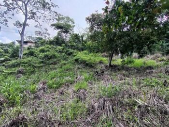 Venta de Lote en Mora-Colón. RAH 25-1801 en Colón, Mora, San José — 96 000 000 ₡ - Foto 4 de 6