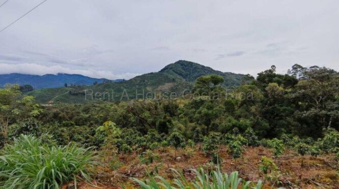 MLS-26-2254 KQ VENTA FINCA SAN CARLOS TARRAZU CONTACTENOS AL # 88987222 en San Carlos, Tarrazú, San José — $650,000