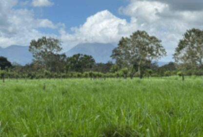 Lotes de 360m2 con Vista al Volcán Arenal - a 12min de Fortuna en La Fortuna, San Carlos, Alajuela — ₡ 25 000 000