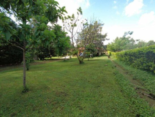 MLS-25-1019 VENTA QUINTA SAN MATEO ALAJUELA en San Mateo, Alajuela — ₡ 250 000 000
