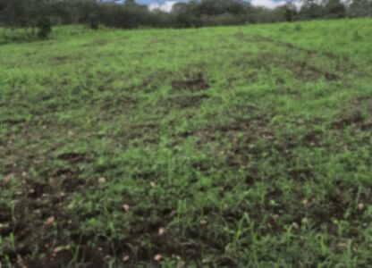 Lotes en venta con Vista al Volcán Arenal en La Fortuna  en La Fortuna, San Carlos, Alajuela — ₡ 35 500 000